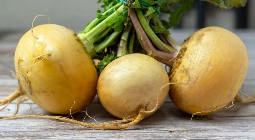 ����: ������� ��������, ������� ����� ������� ����� �����������