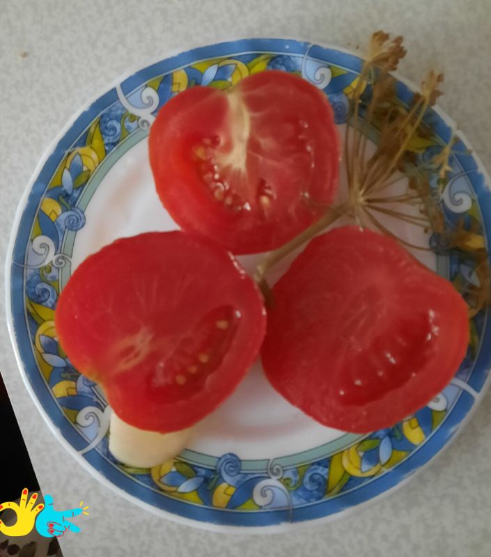 ����������� ��������: ��������� ��������� ����� � �������