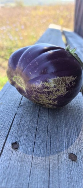 �������� ��� �������������� �����: ������� ����� � ����������� ���������