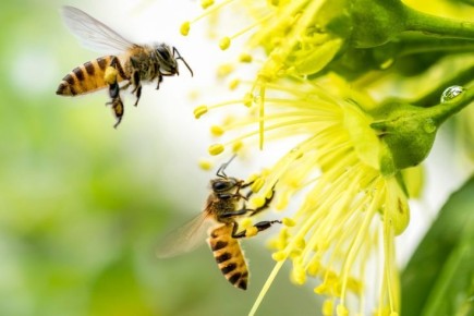 ��� ����� ���������� ����� � ��� � ����� ��� �������� �����