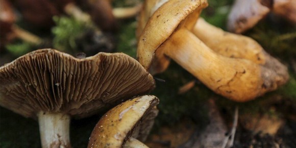 ������� ��� � ��������� �������: ��� ���������� �� �������� �� ����� �����