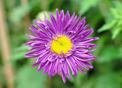 ������������ ������: �������� �������������� ������������ ��� �����