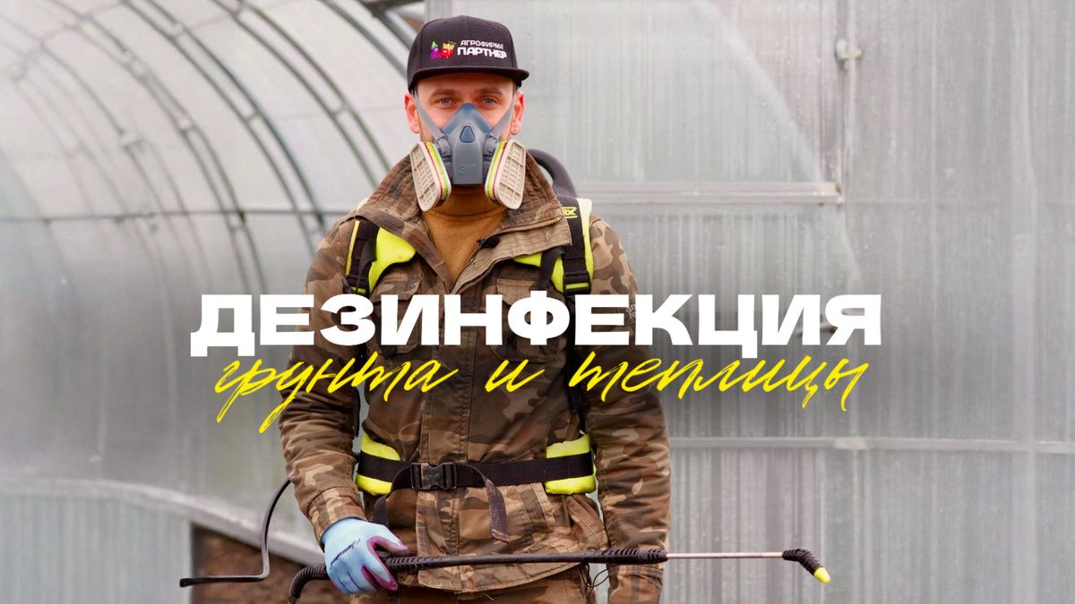 ������ ����������� ����� � �������