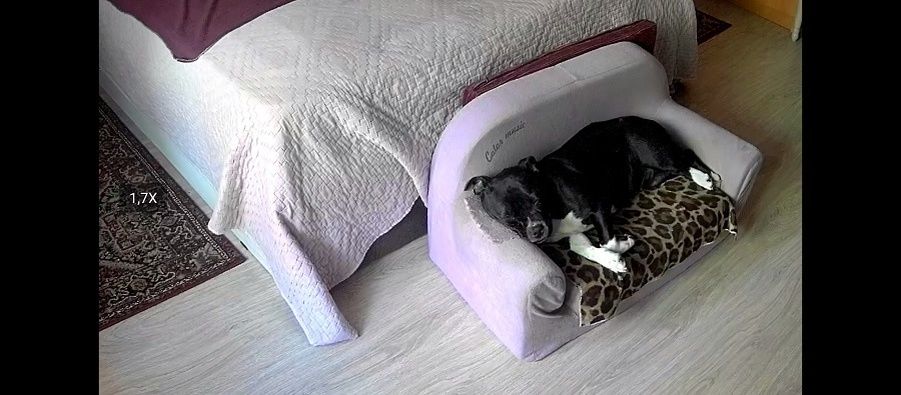 ������� ���������� � �������� ���������� ������