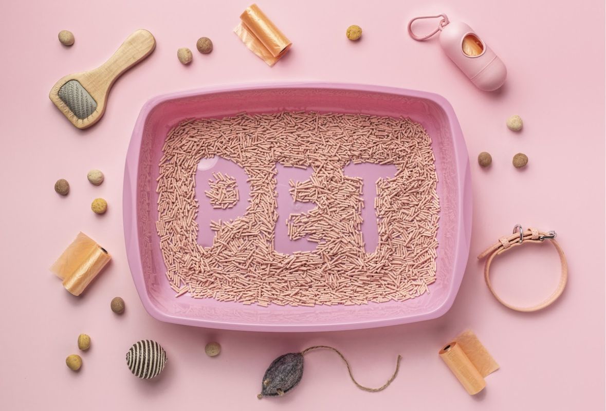 ��� ��������� ��������� �� �������� ������: ������ � ��������