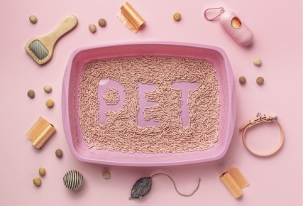 ��� ��������� ��������� �� �������� ������: ������ � ��������