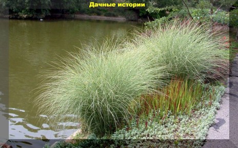 ��������� � �������: ��� ������������ ����� ����������� ����������� ����