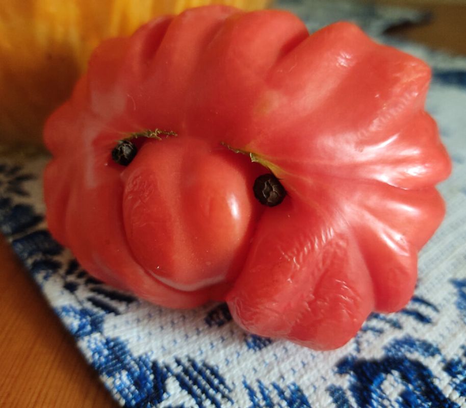 ������� � ������� �������� � ���������� ����