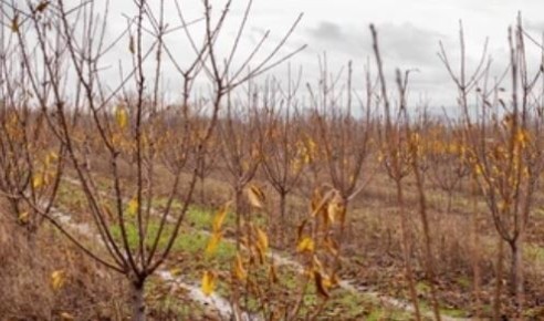 ������������ ��������� ����: ���������� ������ � ������ �������