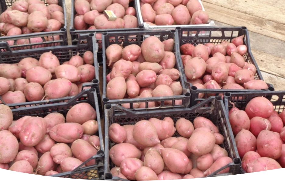 ��� ��������� ��������� �� ����� ����� ��� ������ ������