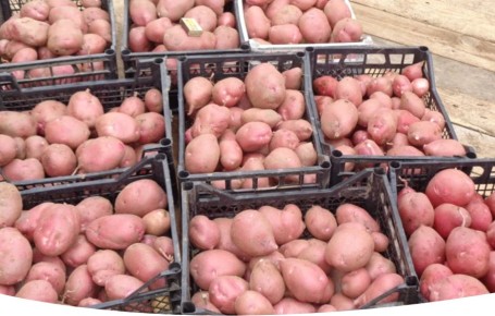 ��� ��������� ��������� �� ����� ����� ��� ������ ������