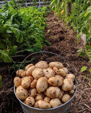 ����� ���� ����������� ��������: ������ � ������������