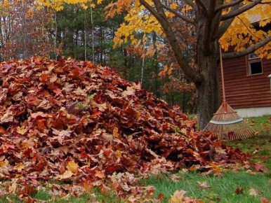 ������� ������ ��� ������ ������