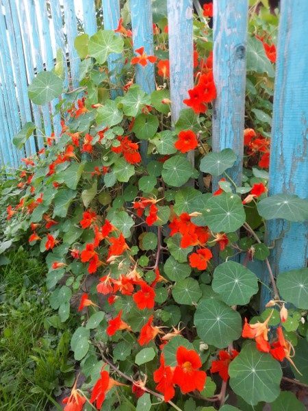 ������ ������� �������� ������������ ������� ��������� ��� ������������ ��������