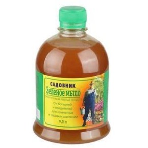 ��������� ��� �������� ��������: ��� ������� � ��������� ������������