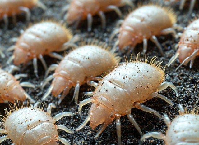 ��� ���������� ���������� �� ������� ������ � ����� ����: ������������ ������