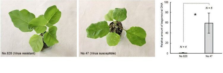 �������� ��������� ����� ���� � ������ � �������� � �������� ���������