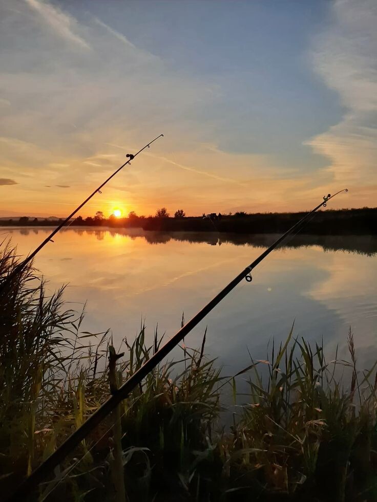Когда ловить рыбу осенью: секреты золотого часа