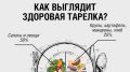 Как сформировать здоровую тарелку: советы от Роспотребнадзора