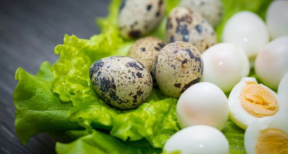 �������� ������ �� ���������� ����������� ��� �� ����� �����