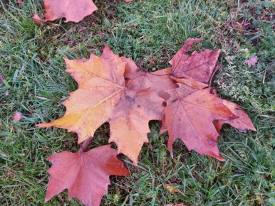 Светлые выходные: культурные прогулки и уютные встречи