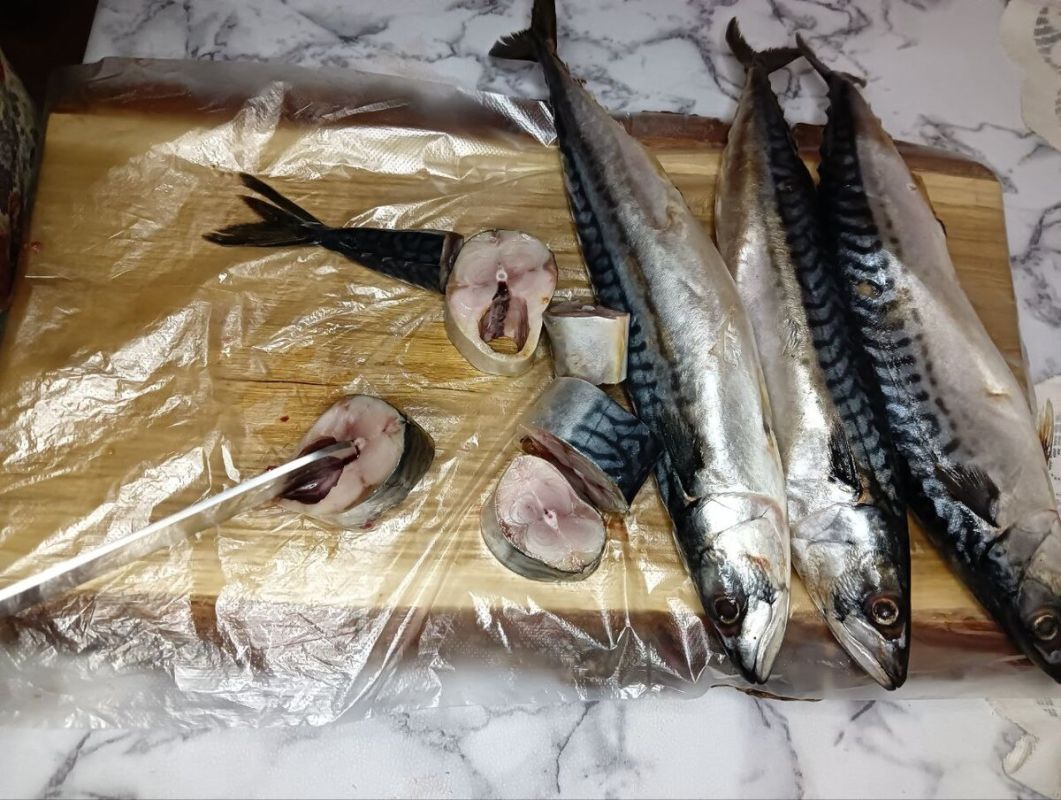 ����������� ��������: ��� �������� ���������� ��������� �����������