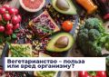 Вегетарианство: преимущества и риски на пути к здоровому питанию