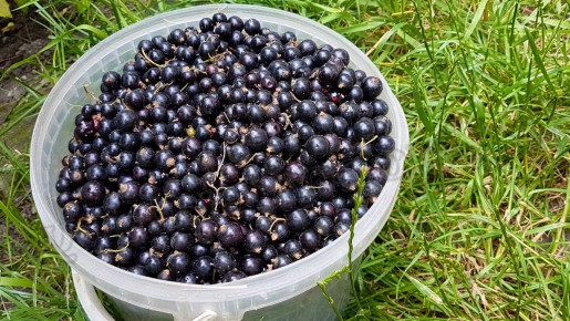 ��� ������� ������� ������� ������� � ��������� �������� ��������