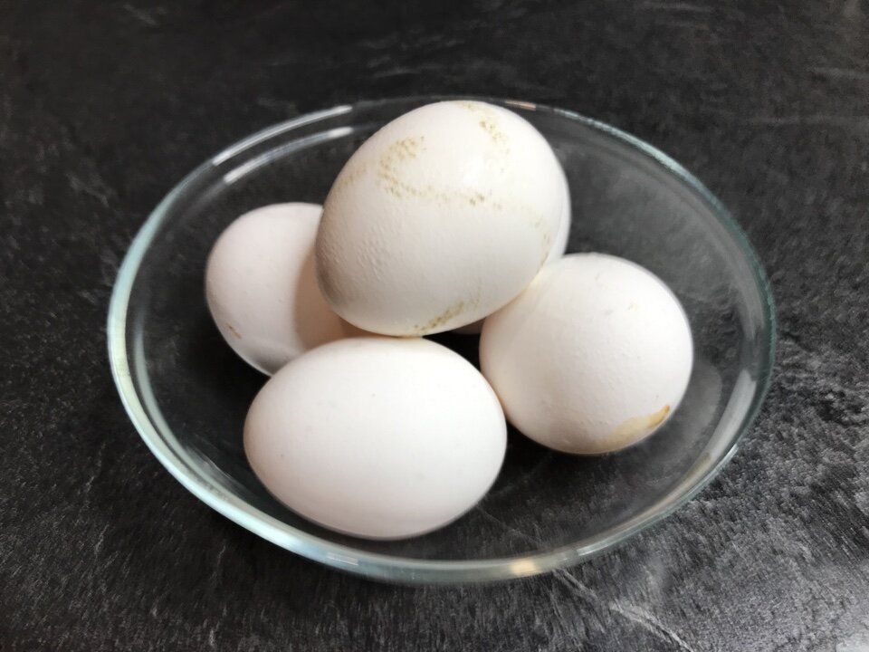 ������ �������� ���� ����� �� ���� ������ �������