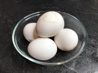 Почему домашние яйца могут не быть лучшим выбором