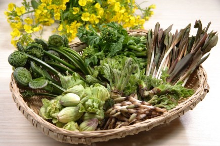 Японская кухня: от васаби до экзотических папоротников