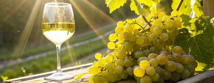 �������������� ����������� ��� �� ����������