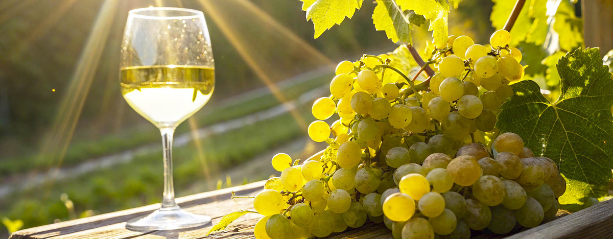 Восхитительные особенности вин из Альбариньо