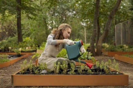 ������� ���������� � ����� �������� ����� �������� � ������