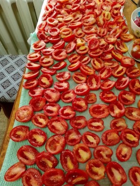 ������� ������: ���������� ������ � ����������� ��������