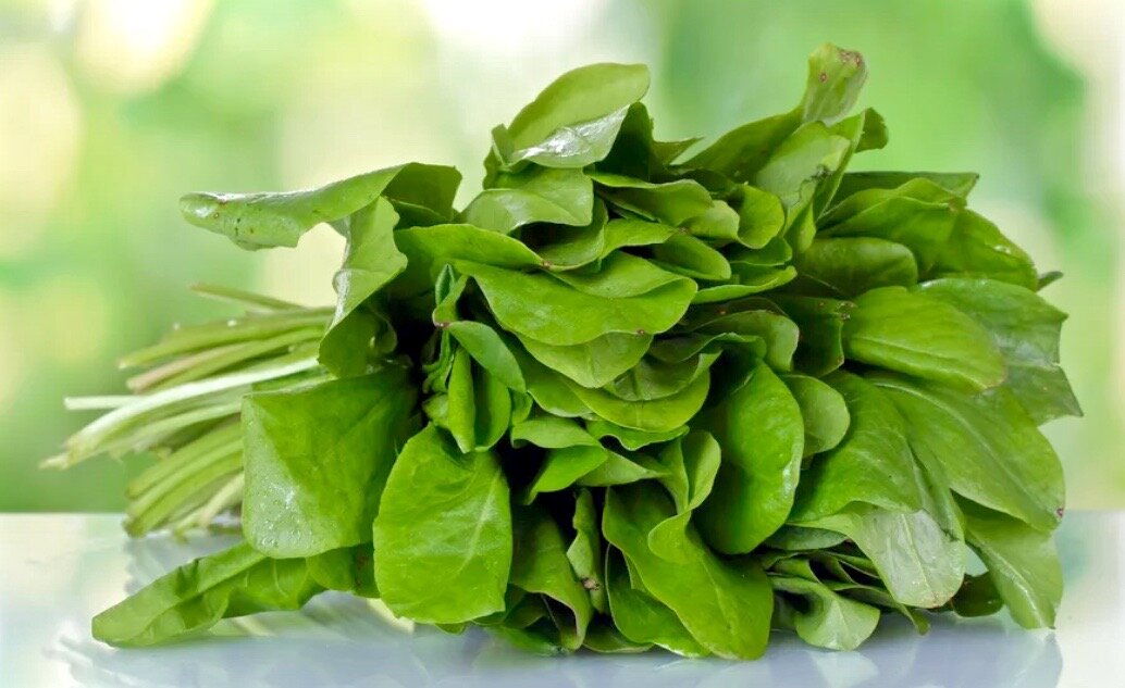 Неповторимые рецепты блюд из щавеля: от лимонада до пирога