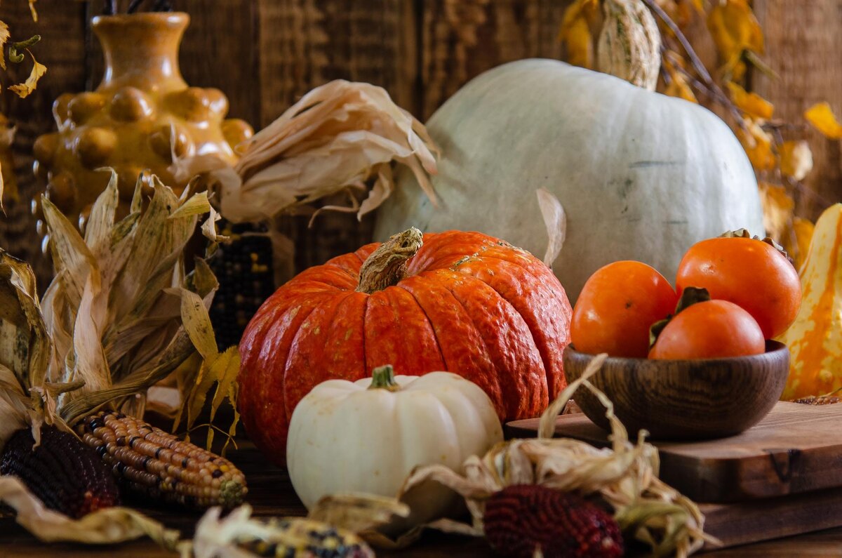 Что приготовить из тыквы: восхитительные рецепты осени