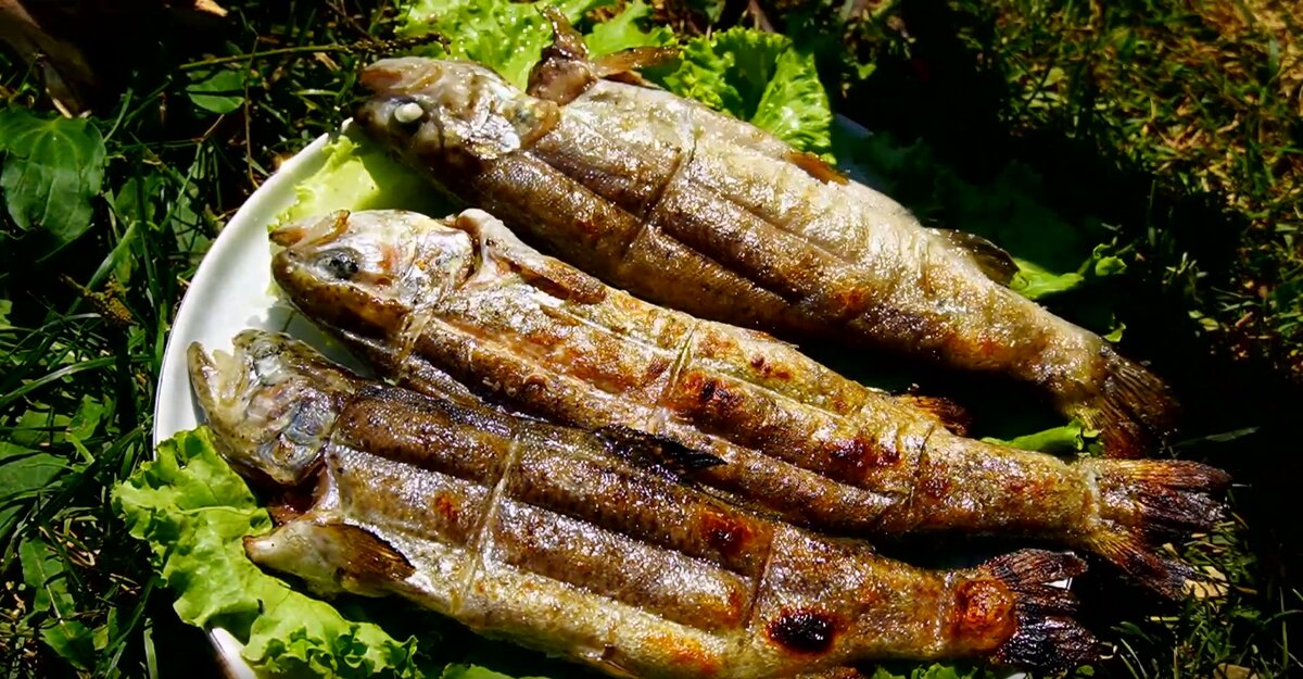 Летний шашлык из рыбы: рецепт без костей, который тает во рту