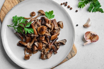 Как готовить опята: рецепты жареных грибов, икры и блюд со сметаной
