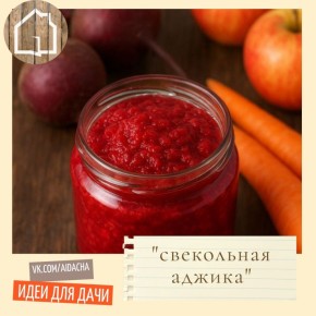 Как приготовить свекольную аджику на зиму: рецепт, который покорит всех
