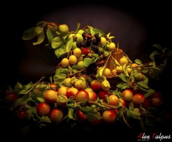 Ткемали: традиционный грузинский соус, который стоит попробовать