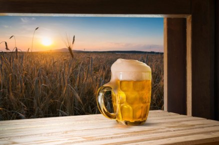 В Бразилии стартует уникальный «пивной поезд» с дегустацией крафта