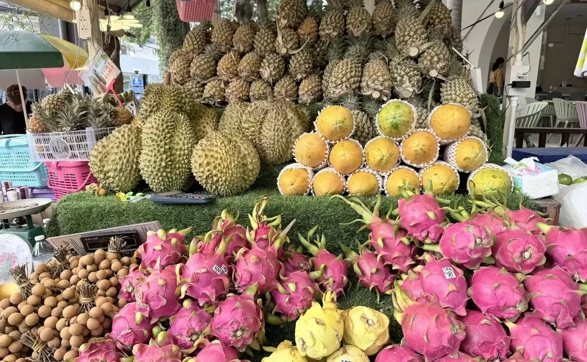 Экзотический рай Хайнаня: когда собирать фрукты