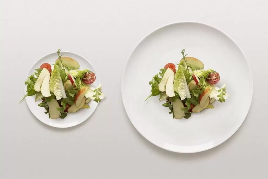 Как тарелка может повлиять на ваш счёт в ресторане: секреты психологов