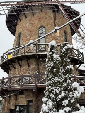 ����������� ���������� �����������: ������� ������ ��������