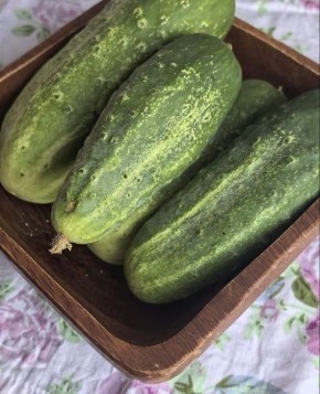 ������: ����� ��� ������ ���� � ������������ ����� � ����������� ������� �����