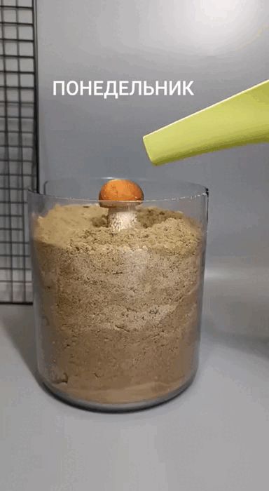 �����: ������������� ���� � ������������ � ���� ������