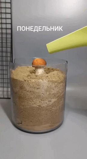 �����: ������������� ���� � ������������ � ���� ������