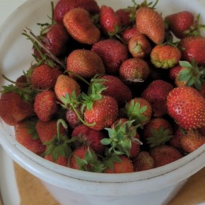 ��� �������� �������� �� ���� ��� �����