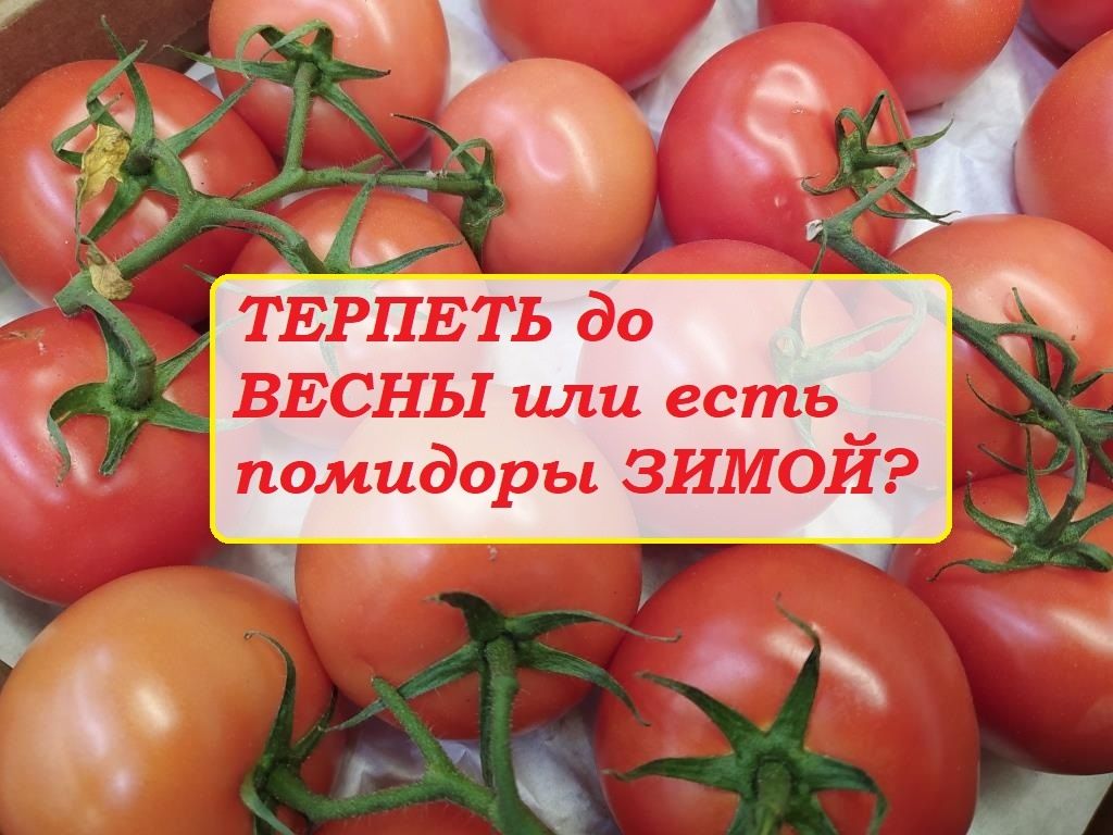 ����� ��� ���������: ��� �� ����������� ������